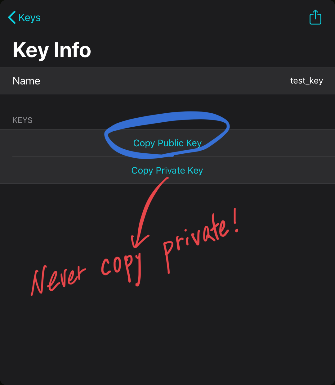 copy_public_key